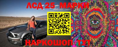 крисы Бузулук