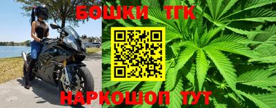 крисы Бузулук