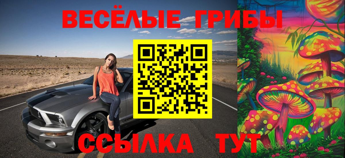 Новокуйбышевск  Псилоцибиновые грибы Magic Shrooms  купить закладку  Вход с VPN 