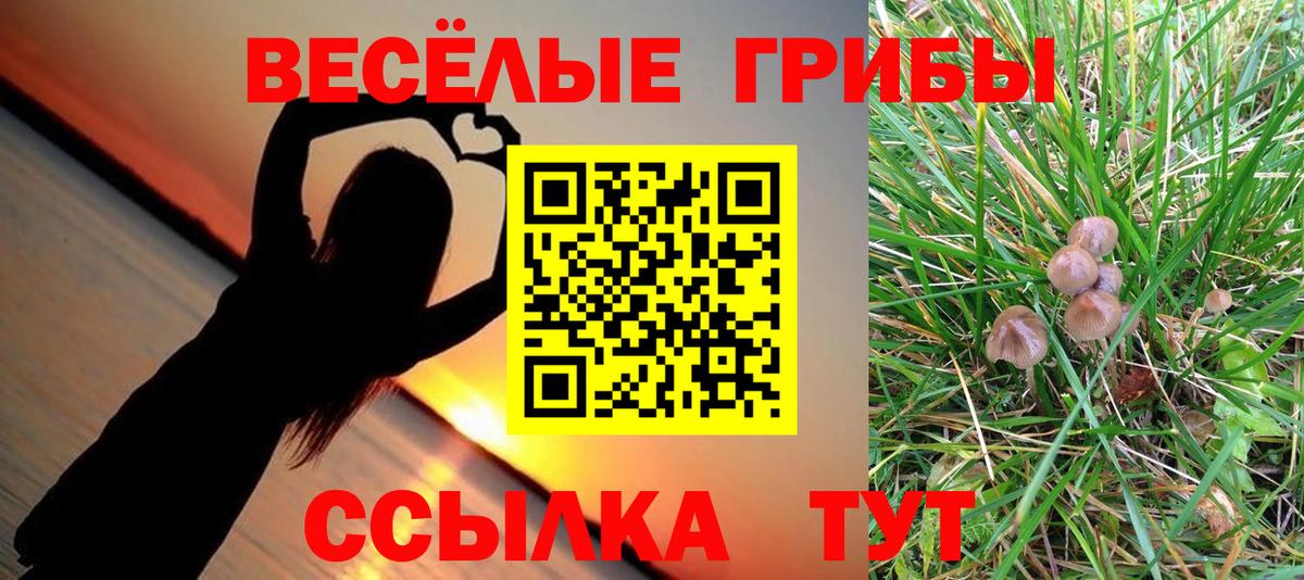Псилоцибиновые грибы Magic Shrooms Новокуйбышевск
